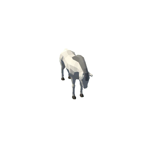 Horse White